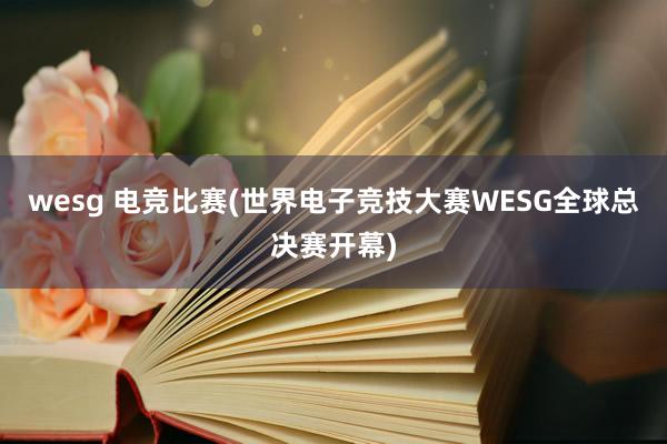 wesg 电竞比赛(世界电子竞技大赛WESG全球总决赛开幕)