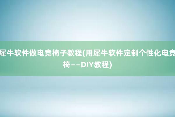 犀牛软件做电竞椅子教程(用犀牛软件定制个性化电竞椅——DIY教程)