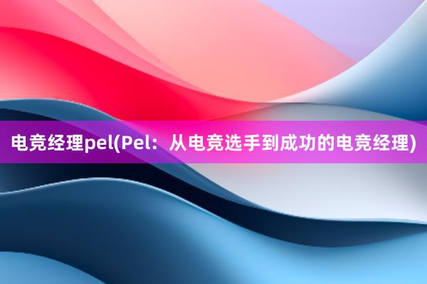 电竞经理pel(Pel：从电竞选手到成功的电竞经理)