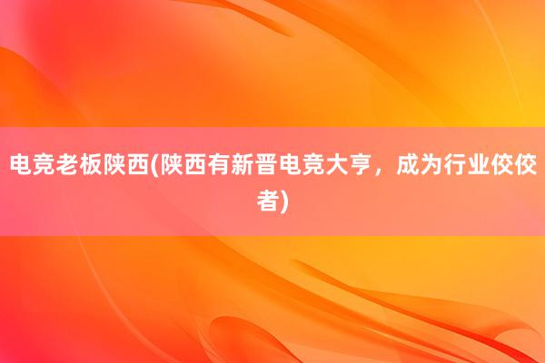 电竞老板陕西(陕西有新晋电竞大亨，成为行业佼佼者)