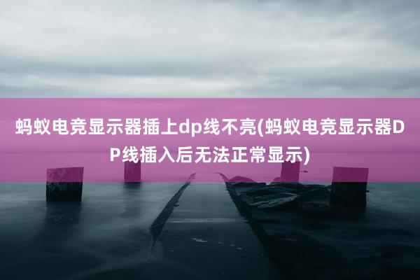 蚂蚁电竞显示器插上dp线不亮(蚂蚁电竞显示器DP线插入后无法正常显示)