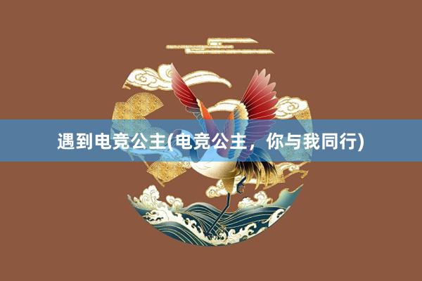 遇到电竞公主(电竞公主，你与我同行)