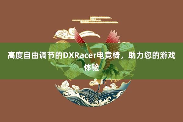 高度自由调节的DXRacer电竞椅，助力您的游戏体验