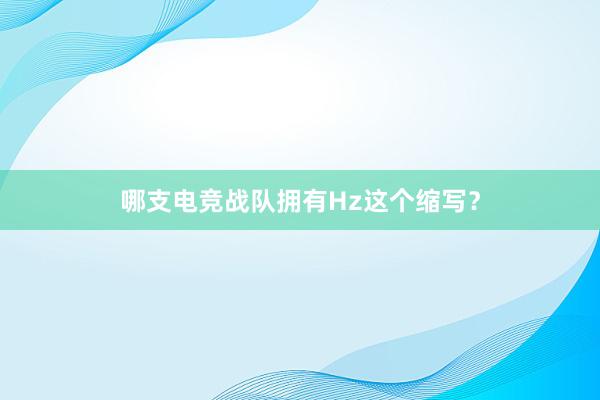 哪支电竞战队拥有Hz这个缩写？