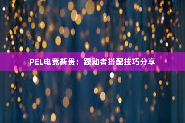 PEL电竞新贵：躁动者搭配技巧分享