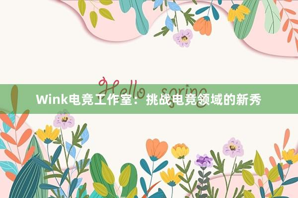 Wink电竞工作室：挑战电竞领域的新秀