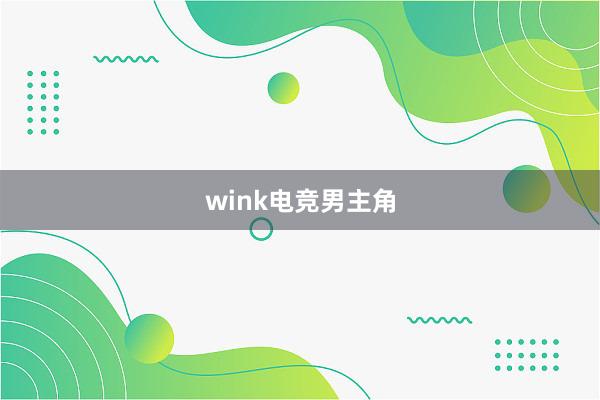 wink电竞男主角