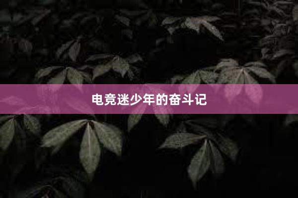 电竞迷少年的奋斗记