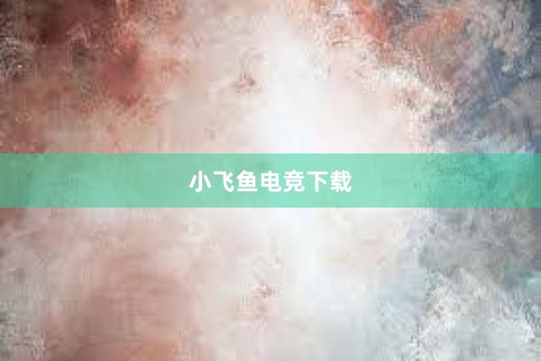 小飞鱼电竞下载