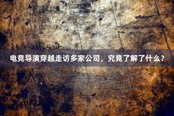 电竞导演穿越走访多家公司，究竟了解了什么？