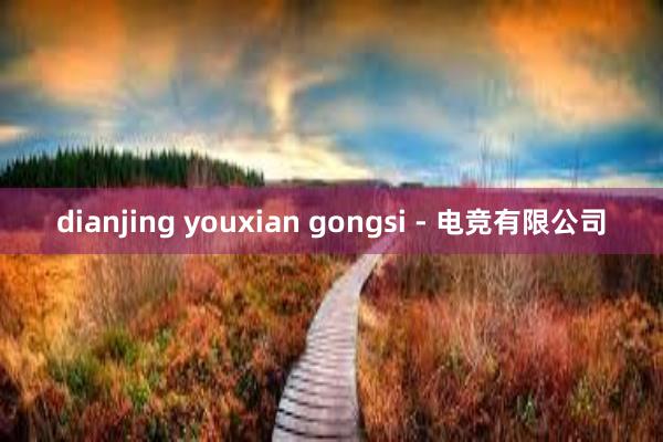 dianjing youxian gongsi - 电竞有限公司