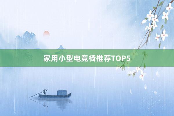 家用小型电竞椅推荐TOP5